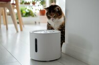 自動給水器を使った「いたずら」をする猫ちゃん　興味津々な姿に思わず笑ってしまう