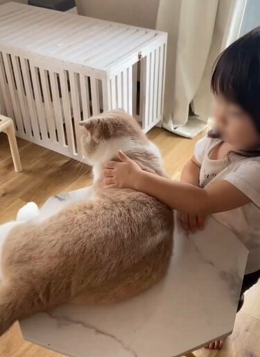 感動】赤ちゃん時代から猫と仲良しな娘さん、1年9ヶ月後の様子に目頭が