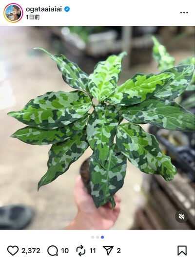 尾形あいさんのInstagram投稿