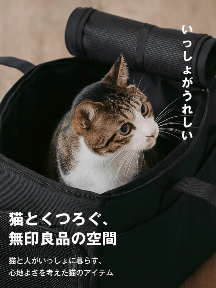 無印良品　素材を活かした猫のおやつ