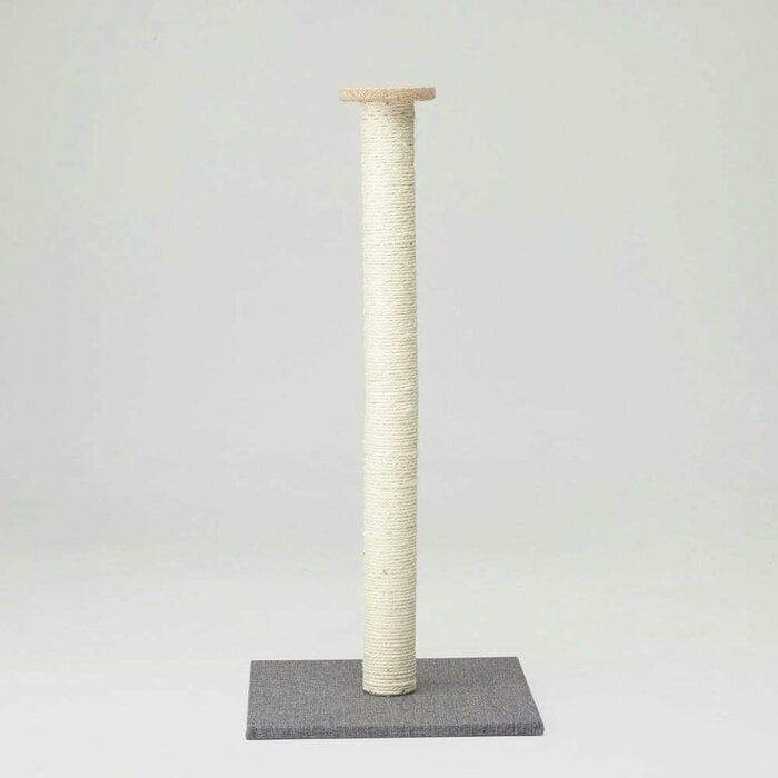 猫がくつろぐ「見晴らし台」としても機能します