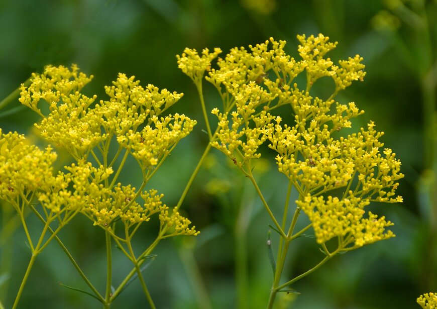 High Mountain/shutterstock.com