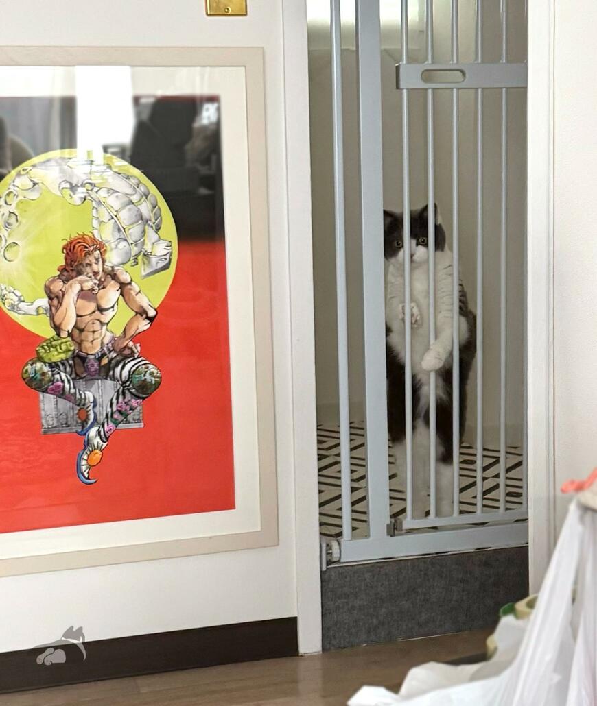 仕事部屋まで呼びに来てくれた猫　まさかの格好に心をくすぐられる