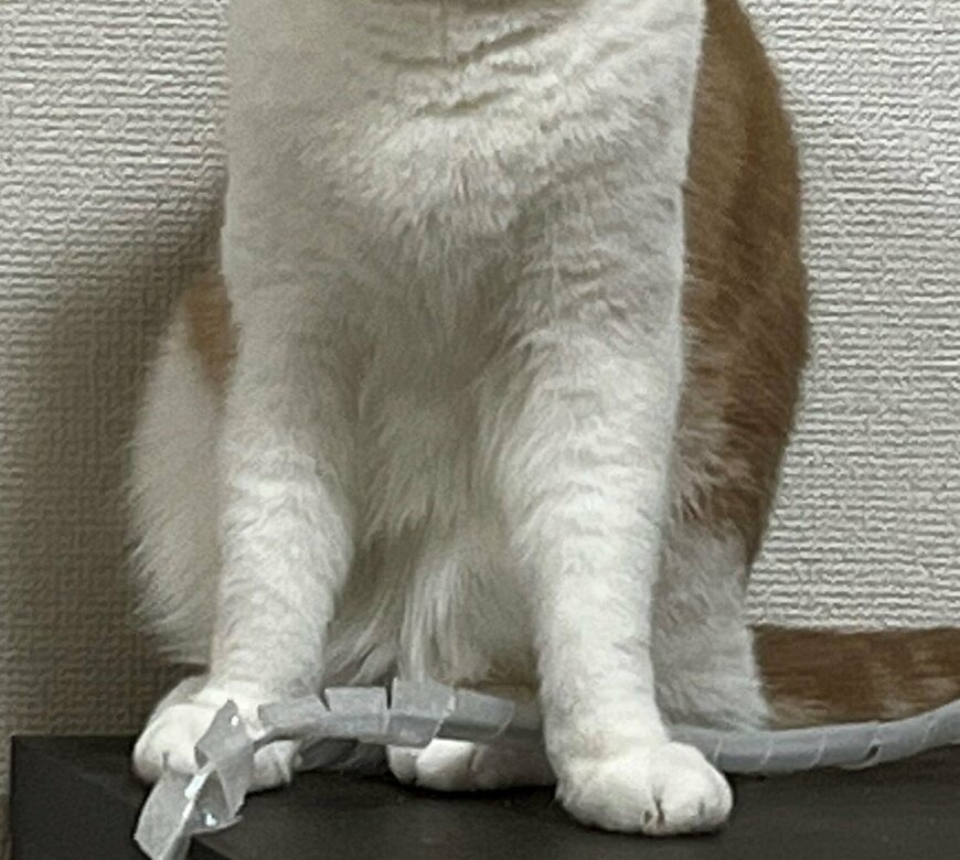 出所：@torotolo106106