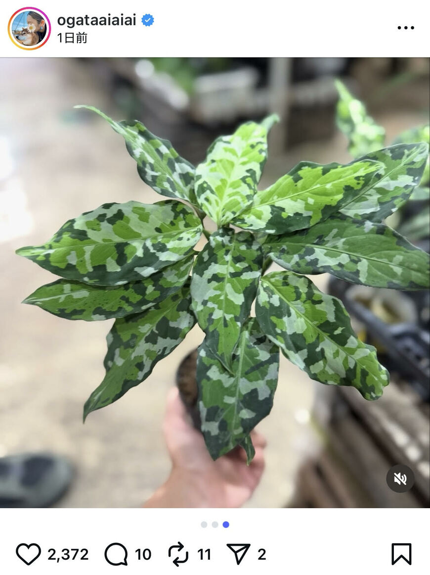 出所：尾形あいさんのInstagram　参照日：2025年10月1日