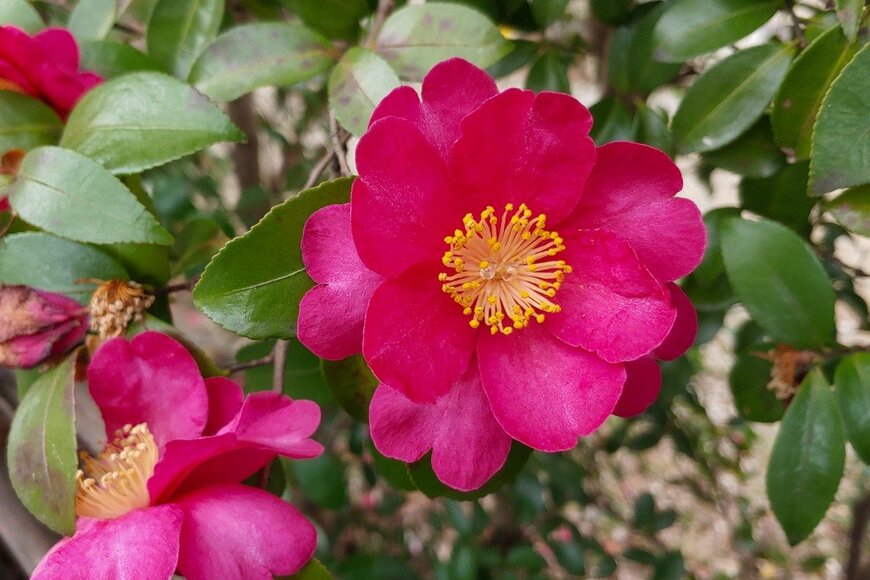 Sungsu Shin/istockphoto.com