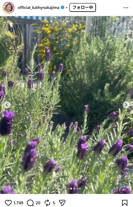 出所：キャシー中島のInstagram（＠official_kathynakajima）　参照日：2026年4月14日