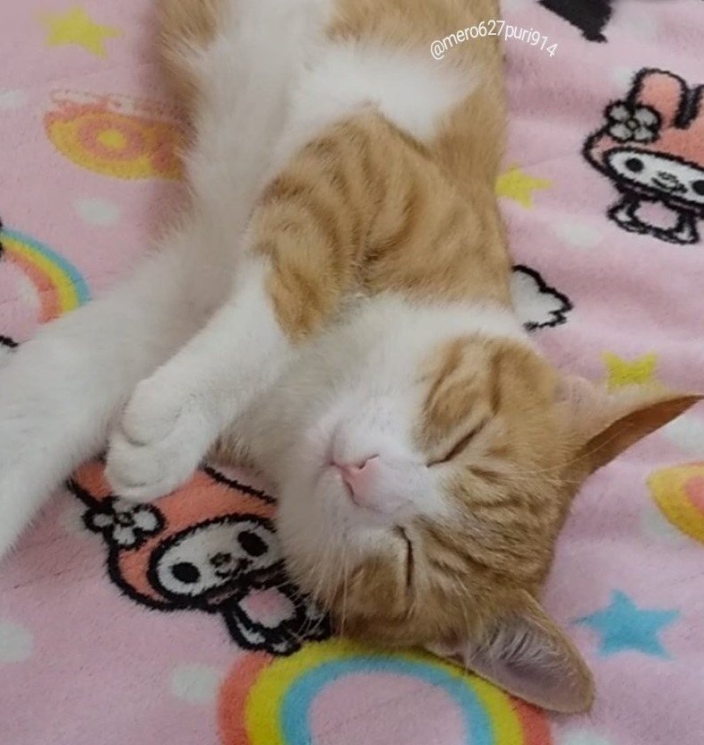 出所：@mero627puri914 