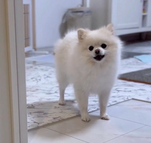 出所：@boku_ponchan