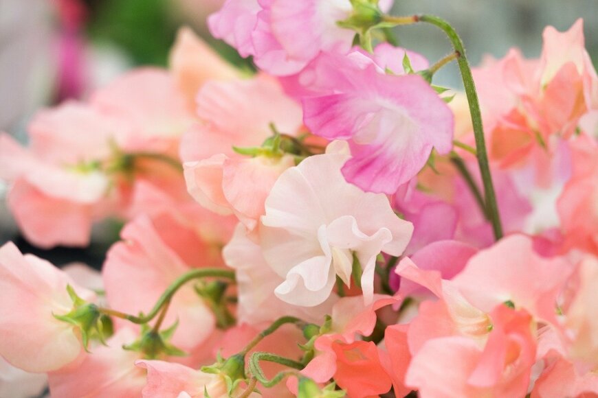 y-studio/istockphoto.com