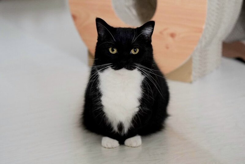 出所：@unicouniuni3