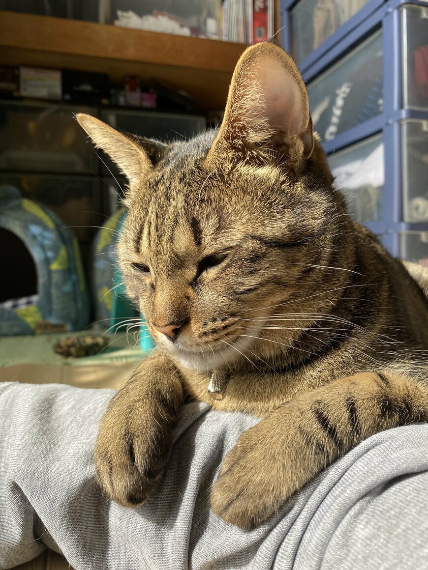 出所：@luna7taka9