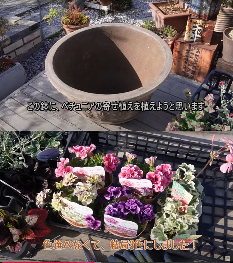 出所：@ohanachannel30