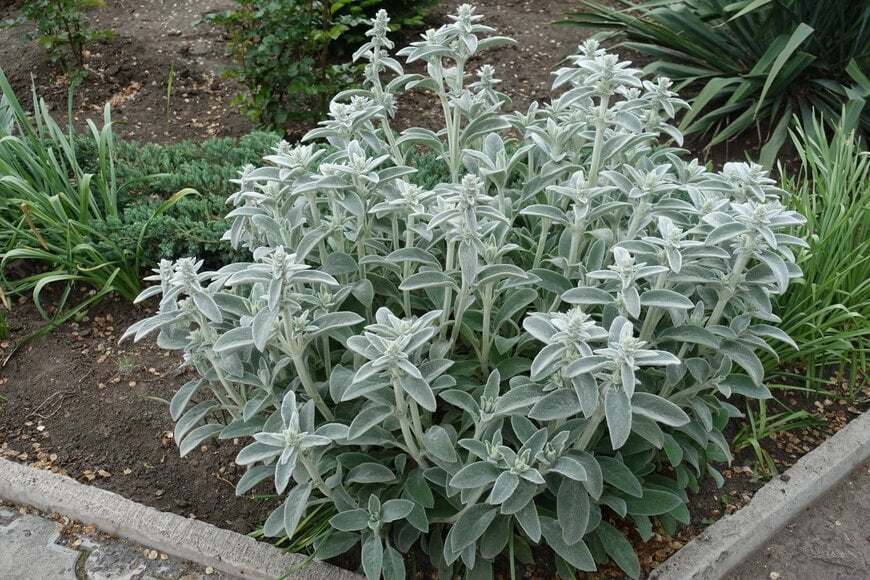 APugach/shutterstock.com