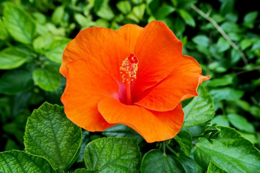 undefined undefined/istockphoto.com