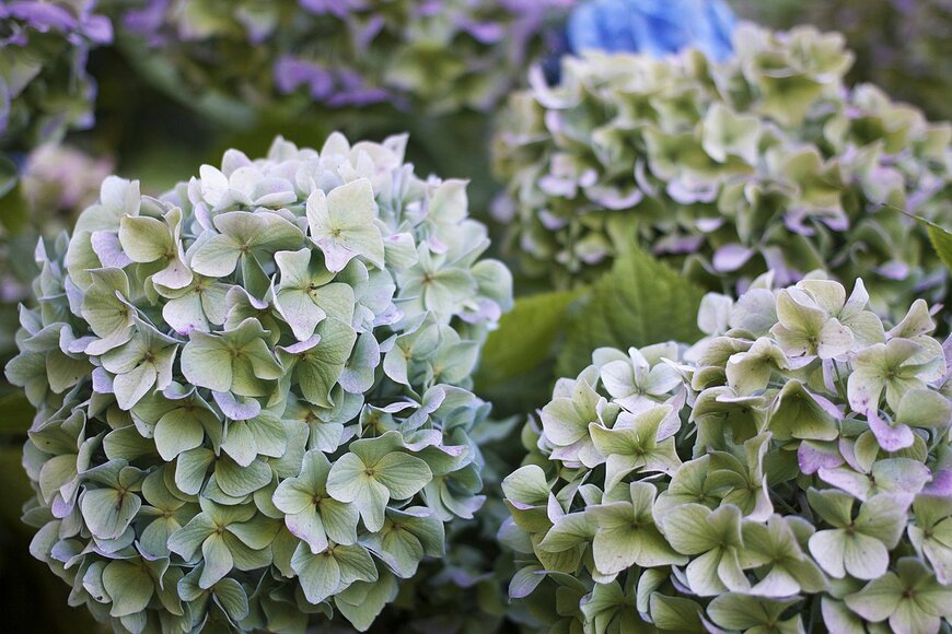 violettenlandungoy/istockphoto.com