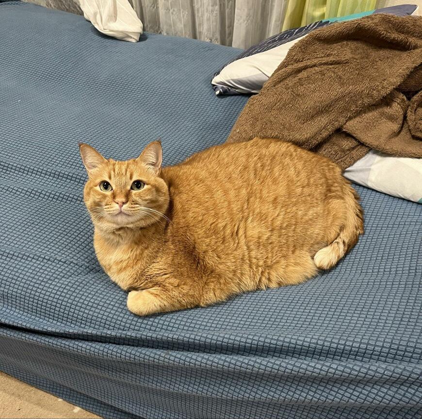 出所：@kagisuzu0531