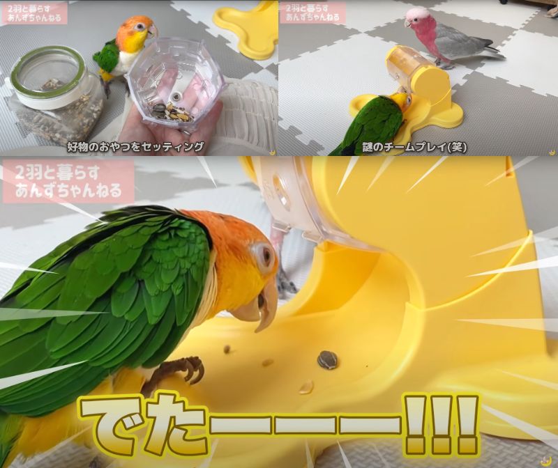 出所：@anz_omomiri