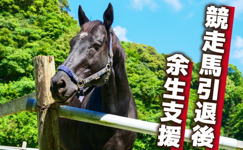 出所：ふるさとチョイス 競走馬 支援 1億5,000万円 コース 黒潮友馬会応援 特典 ポストカード