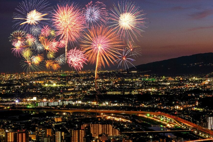 Owl CK/shutterstock.com