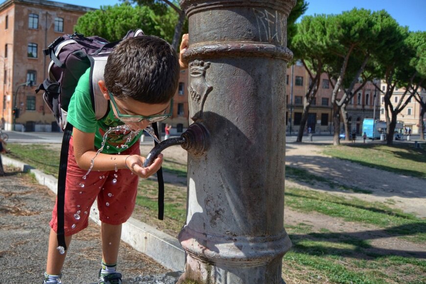 Massimo Parisi/shutterstock.com