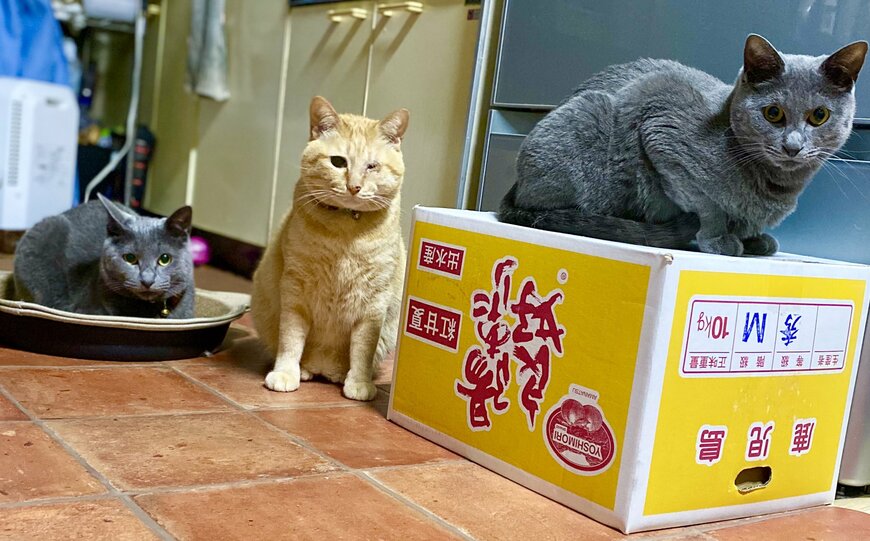 出所：@luna7taka9