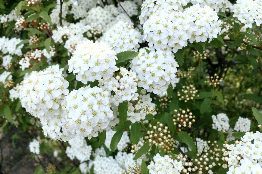 hachiware/istockphoto.com