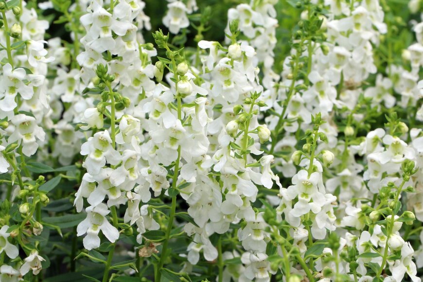 Skyprayer2005/shutterstock.com