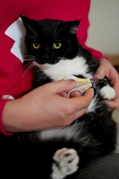 出所：@unicouniuni3