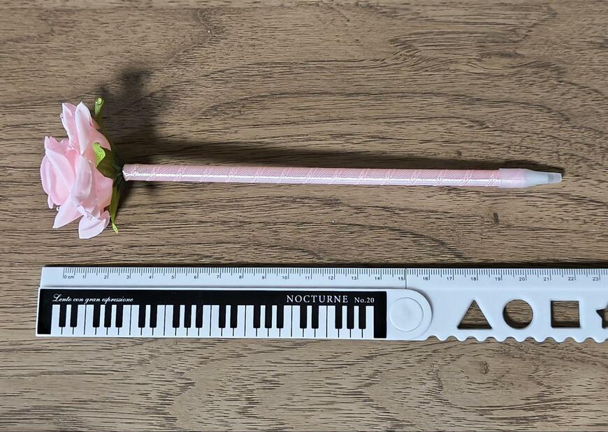 筆者撮影（セリア、油性ボールペン ローズ）