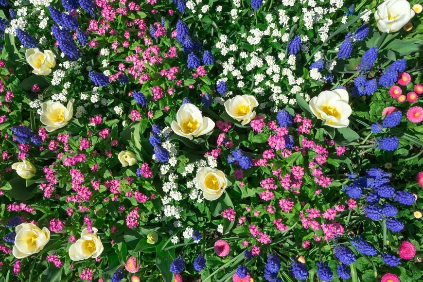 Robert Schneider/Shutterstock.com