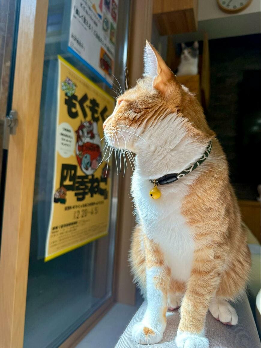 出所：@omochi_nam01