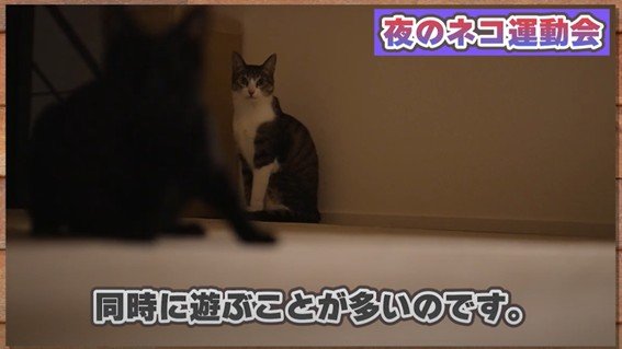 出所：@MAKO0MAKO0