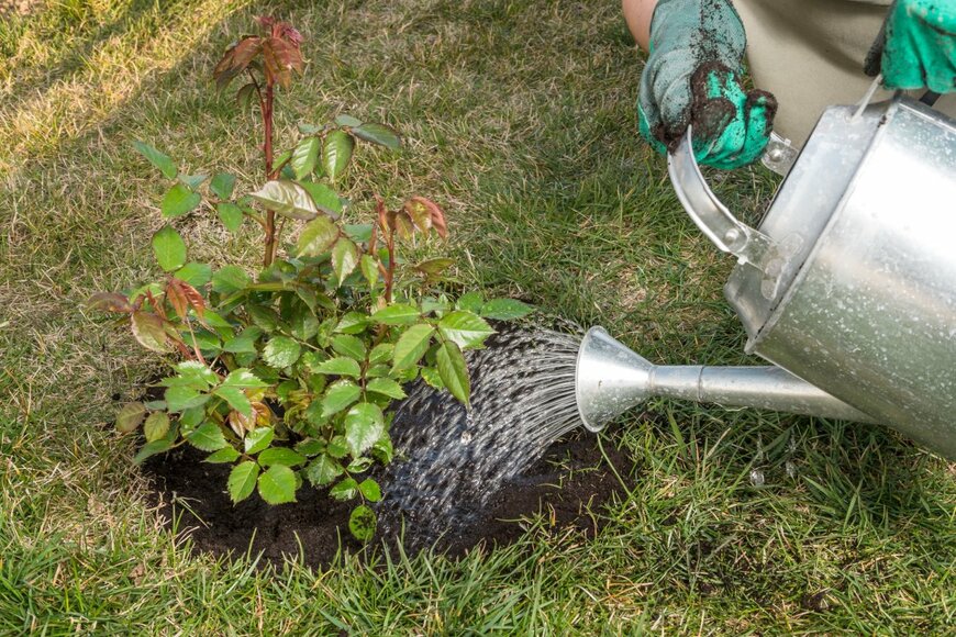 pryzmat/shutterstock.com