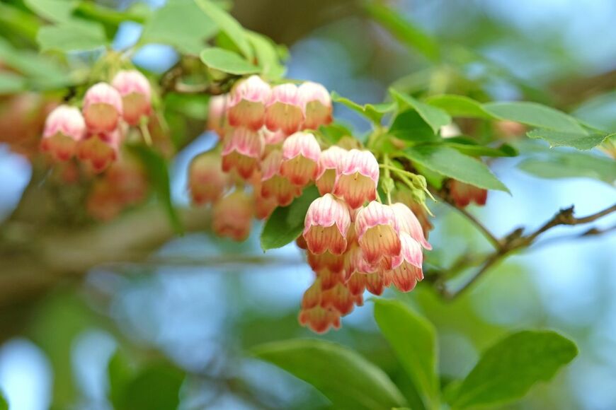 Alex Manders/shutterstock.com