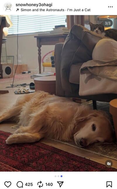 出所：石田ゆり子のInstagram（@snowhoney3ohagi）参照日：2025年10月26日