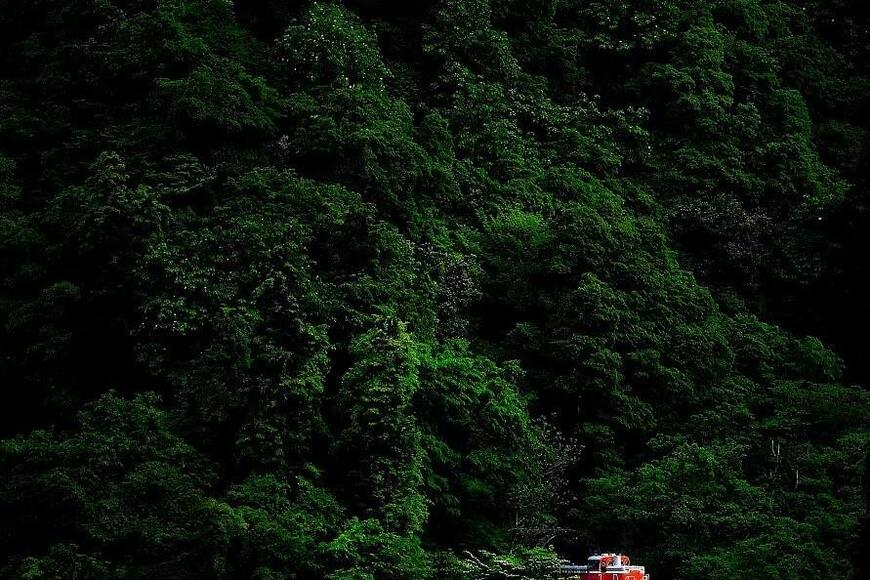 撮り鉄が新潟県で撮影した「紅一点」　美しすぎる一枚の写真が話題に