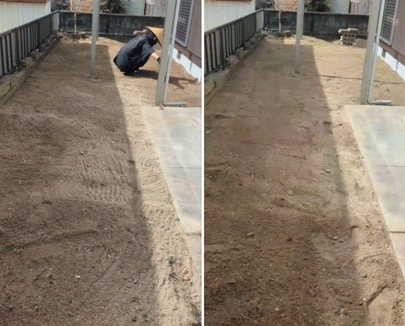 投稿の画像