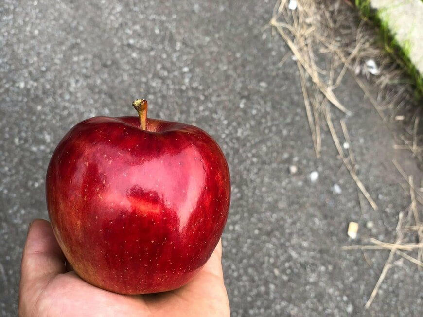 宝石のように輝くりんご