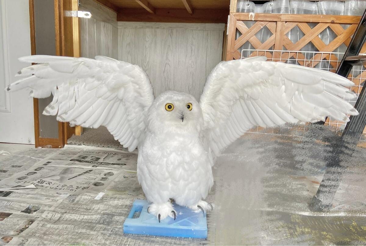 本の上で、羽根をばたつかせる、シロフクロウ 小物入れ装飾ボックス