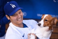 大谷翔平＆デコピンの過去写真に再注目！「ナショナル・ドッグ・デー」に合わせて球団フォトグラファーが公開