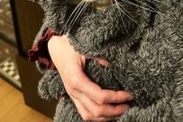 妻「エアコン代が勿体ない！」想像の斜め上を行く節約術に2.8万いいね「猫たんぽ」