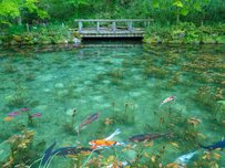 【全国旅行支援】2024年7月12日更新！独自割のキャンペーンを行う県の情報を紹介