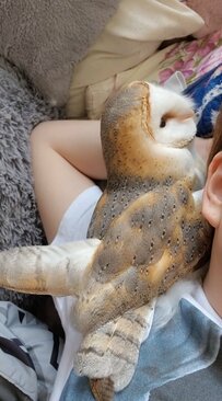 【ベッタリなフクロウ】寝転がる飼い主さんにスリスリ！甘えん坊モード発動でSNSユーザーもホッコリ