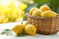 砂糖細工師が作った「芸術的な檸檬ケーキ」　想像を超える見た目に「とんでもないレベル」「震えてしまう」