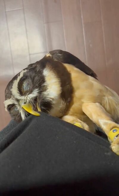 投稿動画のワンシーン