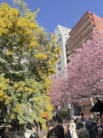 柏木由紀子の公式ブログ投稿
