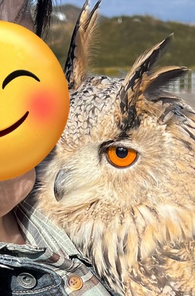 投稿動画のワンシーン