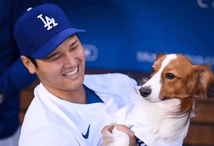 大谷翔平＆デコピンの過去写真に再注目！「ナショナル・ドッグ・デー」に合わせて球団フォトグラファーが公開