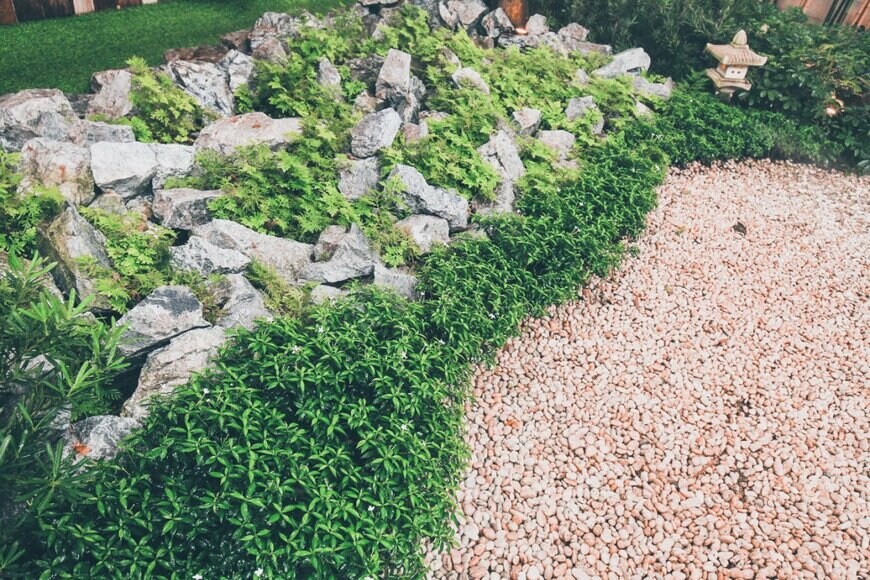 phol_66/shutterstock.com